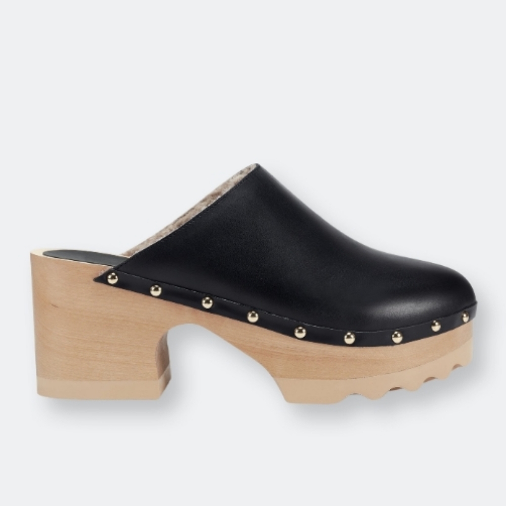 Aerosols | FURY | Black Leather Faux Fur Lined Clogs